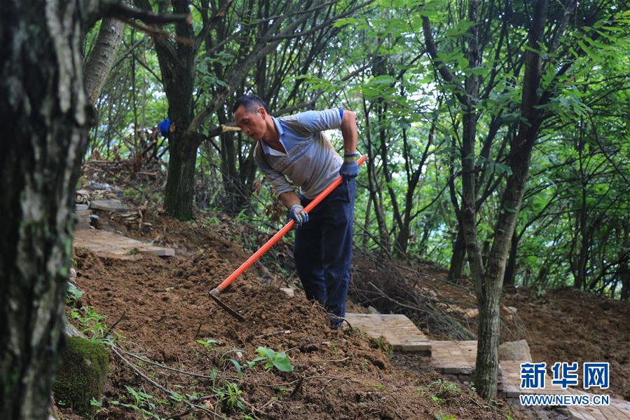 （決戰(zhàn)決勝脫貧攻堅(jiān)·圖文互動(dòng)）（2）問林下要地 助“新市民”就業(yè)增收