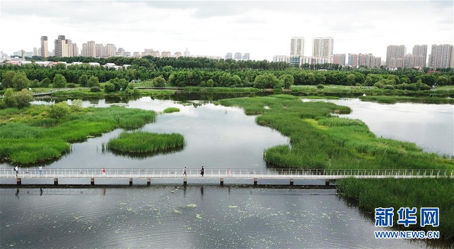 （走向我們的小康生活·圖文互動(dòng)）（1）水清、地綠、空氣新——最北省份黑龍江繪就生態(tài)治理新畫(huà)卷