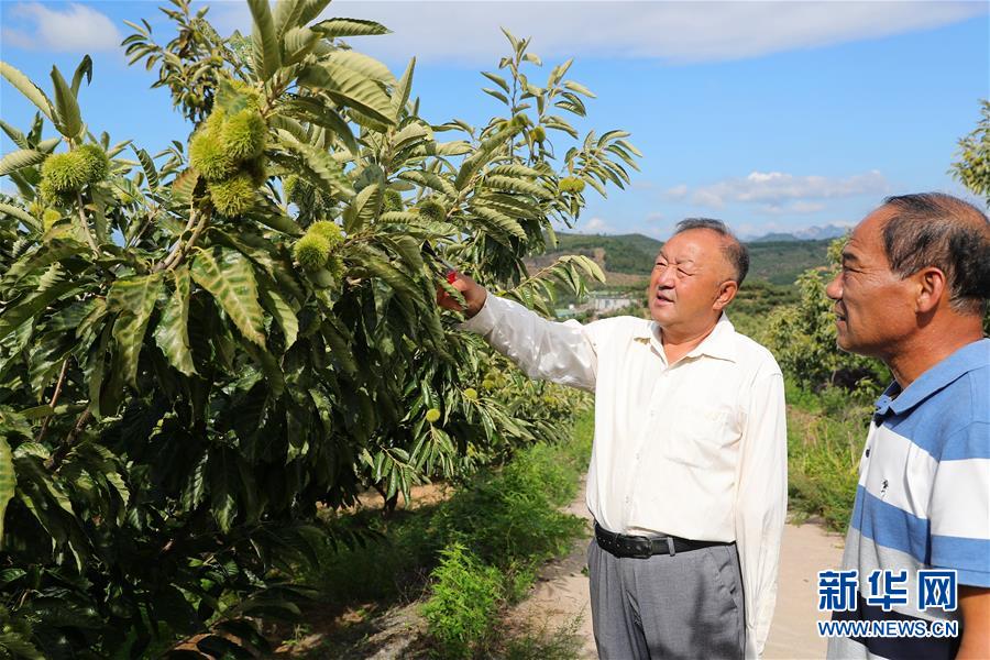 （新華全媒頭條·走向我們的小康生活·圖文互動(dòng)）（11）長(zhǎng)城腳下，小康村串成“珍珠鏈”