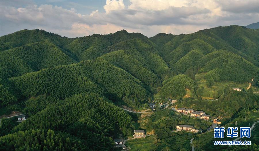 （新華全媒頭條·走向我們的小康生活·圖文互動）（2）神山村“神奇”何在？——井岡山深處覓答案