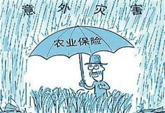 我國(guó)農(nóng)業(yè)保險(xiǎn)業(yè)務(wù)規(guī)模居全球第二