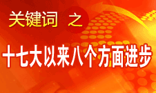 王京清：十七大以來黨建和組織工作取得八個方面進步