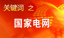 劉振亞：國家電網(wǎng)2020年前在國外投入300億-500億美元