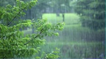 江蘇“入梅” 預計今年梅雨期降水量接近常年