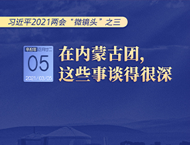 習(xí)近平2021兩會“微鏡頭”之三 3月5日 在內(nèi)蒙古團，這些事談得很深