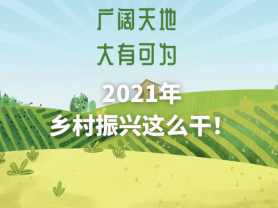 廣闊天地 大有可為 2021年鄉(xiāng)村振興這么干！