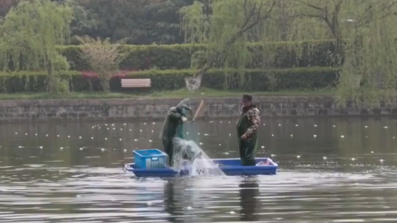 別人家的學校！安師大請師生吃一萬斤魚