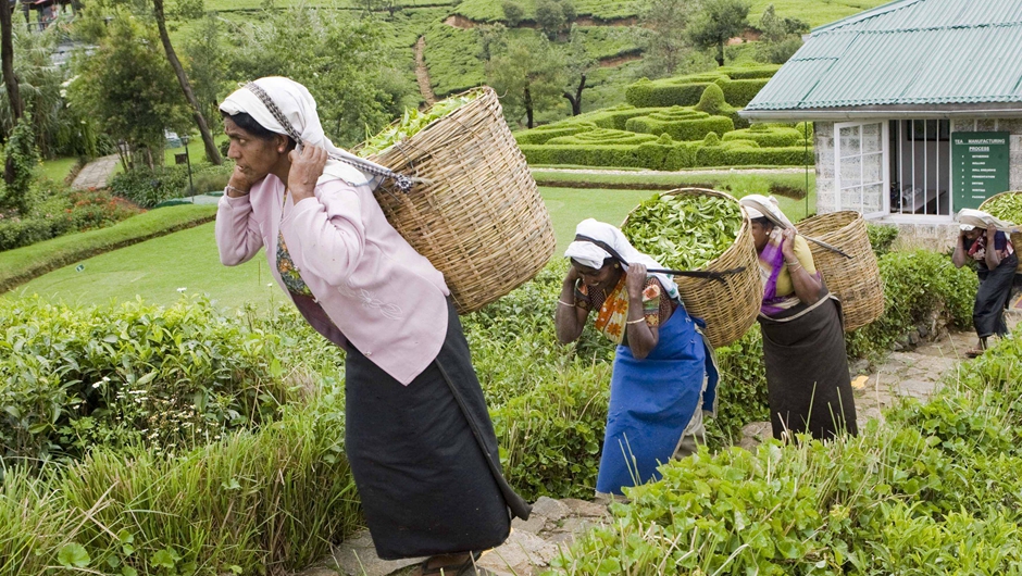 茗香亞洲 茶韻綿長(zhǎng)